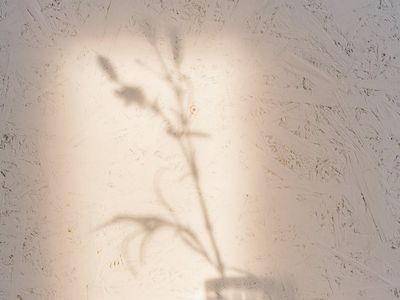 Abstract pattern of light and shadow on a wall.